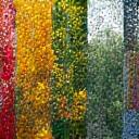 계절별 식물 성장 시뮬레이션